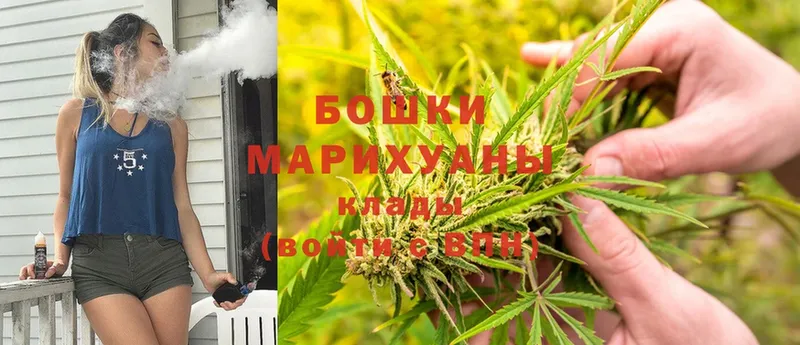 Бошки марихуана SATIVA & INDICA  Йошкар-Ола 